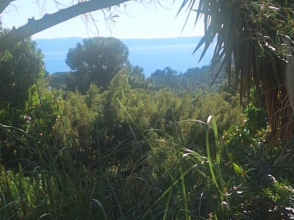 Massacan-Vue Mer - 5