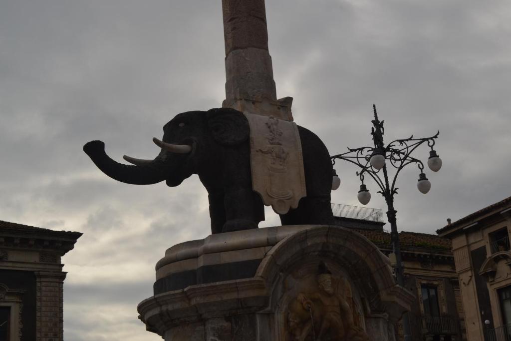 Stesicorea Palace Photo 29