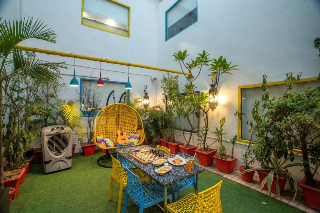 Garden