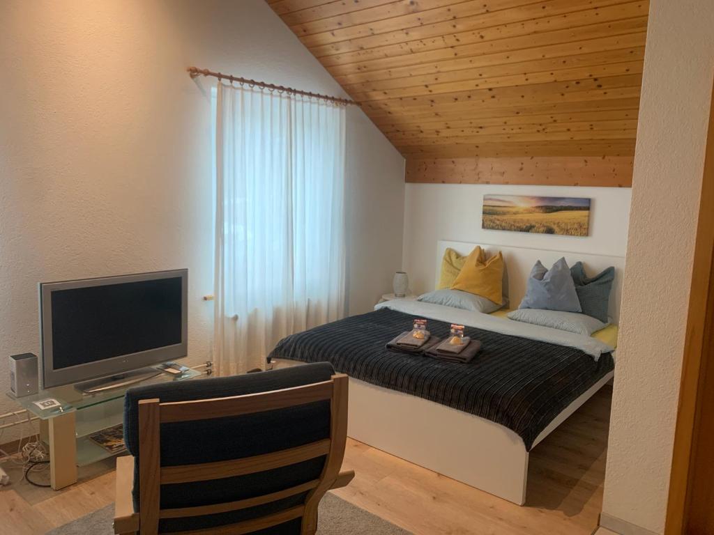 Studio Central Grindelwald - 3