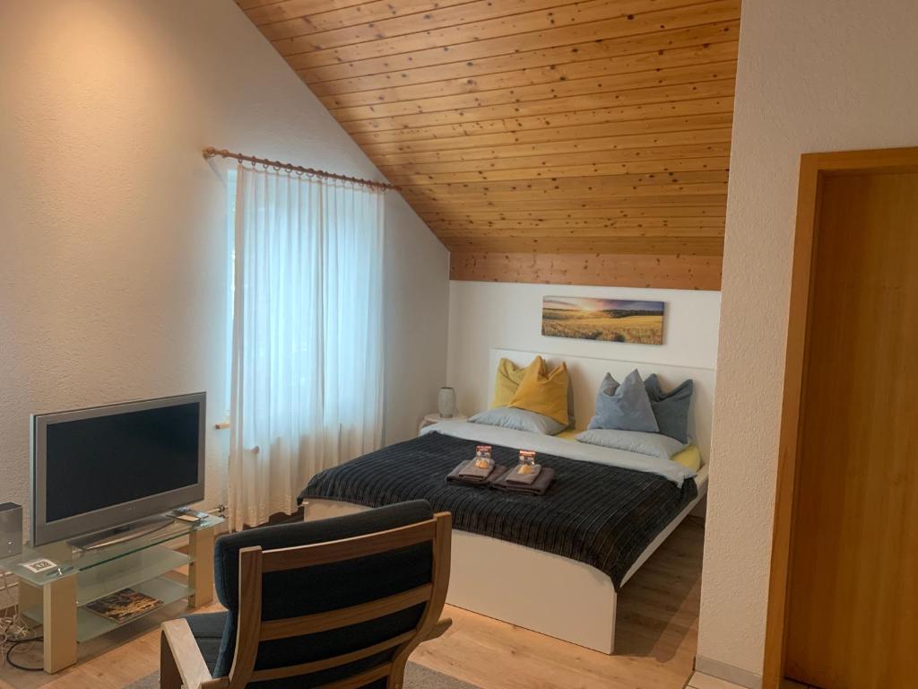 Studio Central Grindelwald - 2