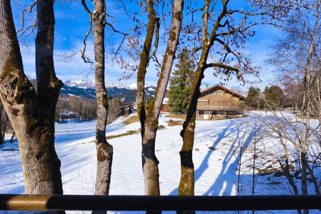 Stay in an ideal mountain chalet! - 1