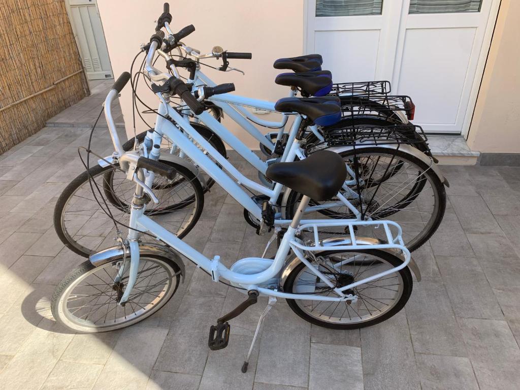 Viareggio, 5 minuti dal mare Sweet home - 3