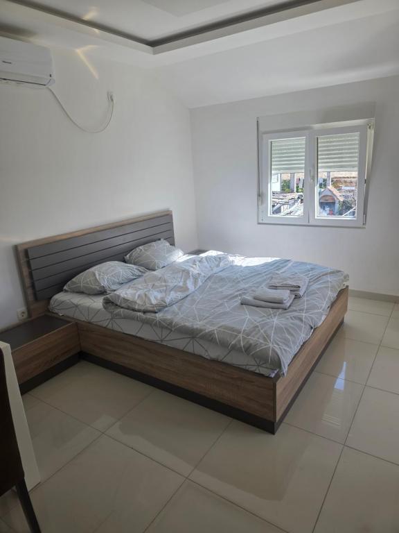 Apartman Tolosi 2 - 3