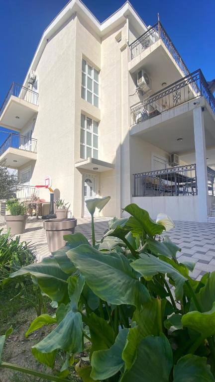 Vila Seawolf Apartments - 3