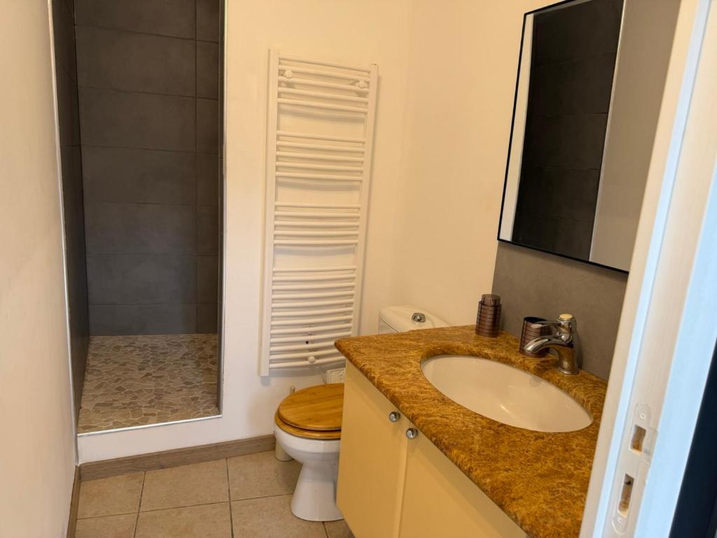 Grand Studio hyper centre PORTO-VECCHIO - 4