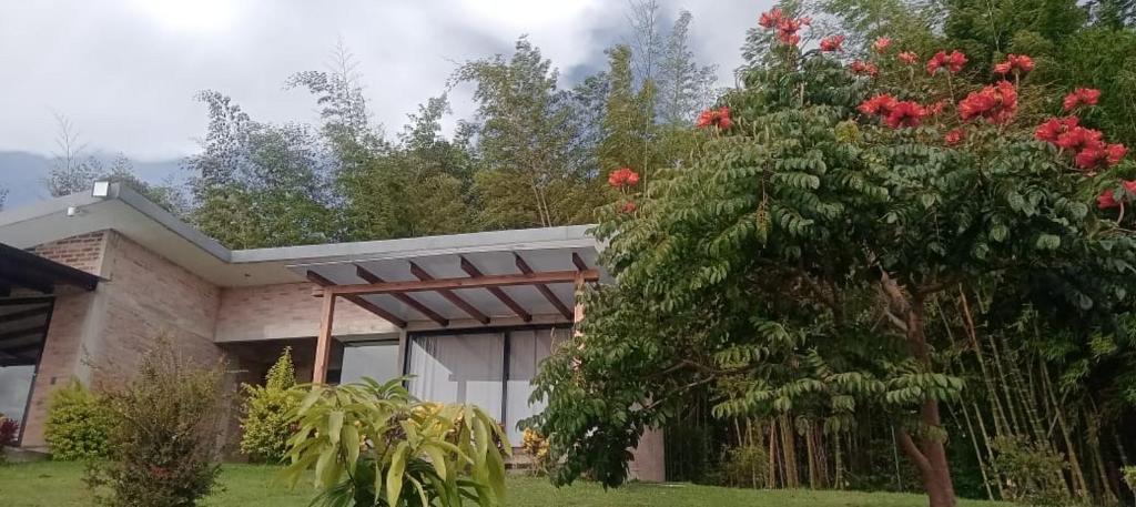 Casa campestre Lago Calima - 3