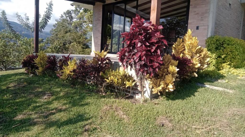 Casa campestre Lago Calima - 5