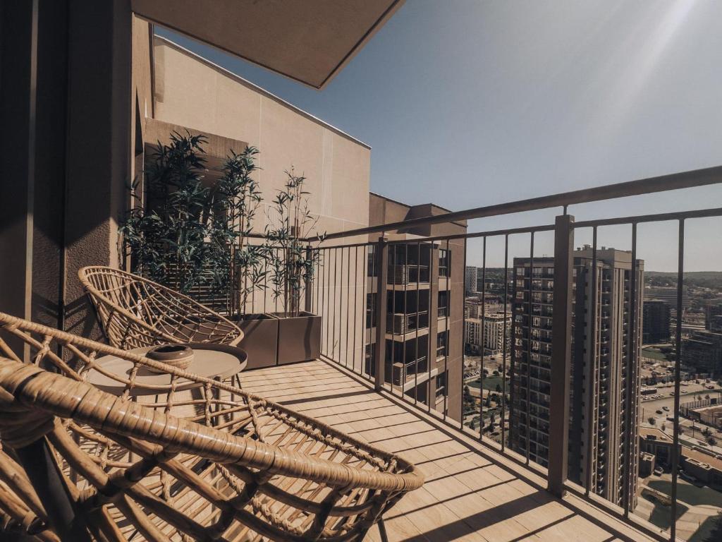 BW MACA - Aurora Studio - 4