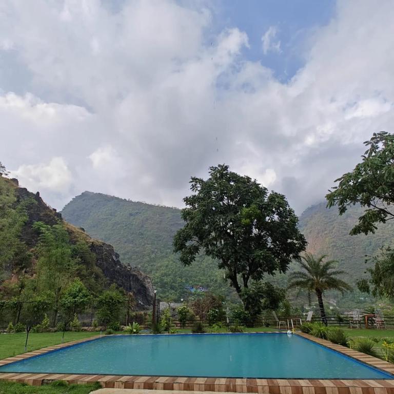 スイミングプール