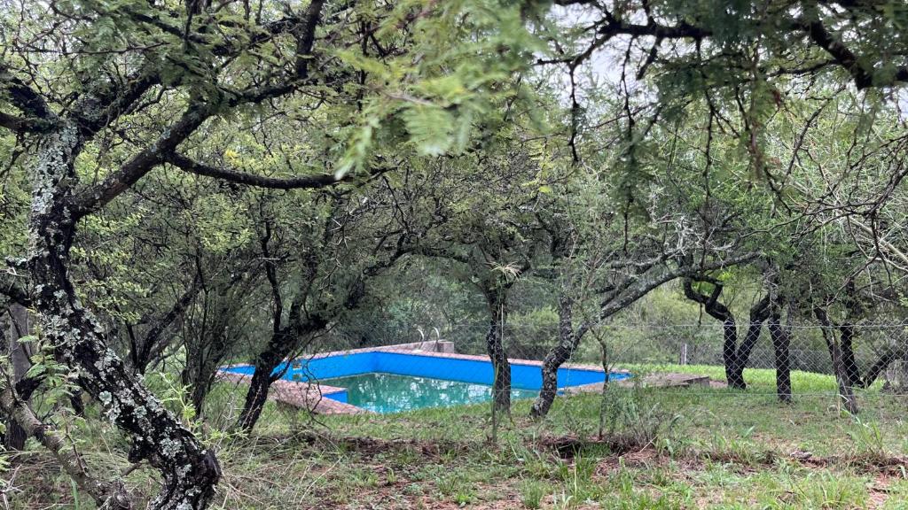 El Campito - 4