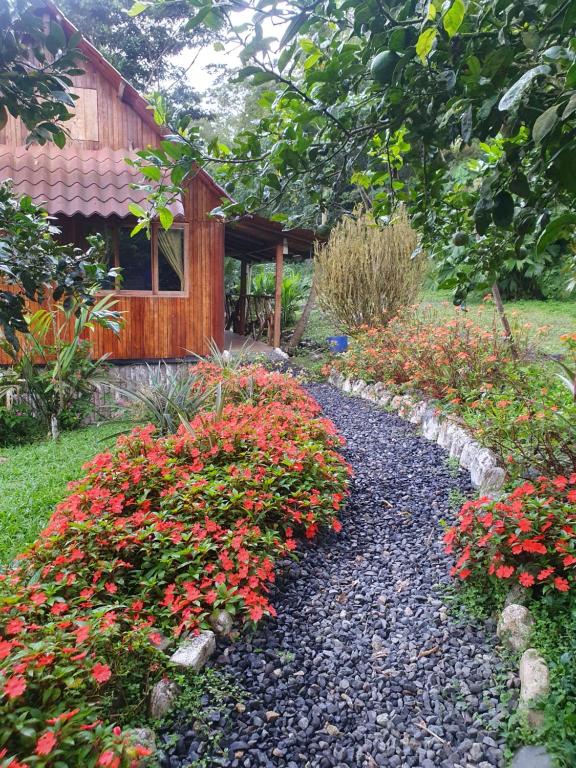 Finca Las Palmas Ecolodge - 5
