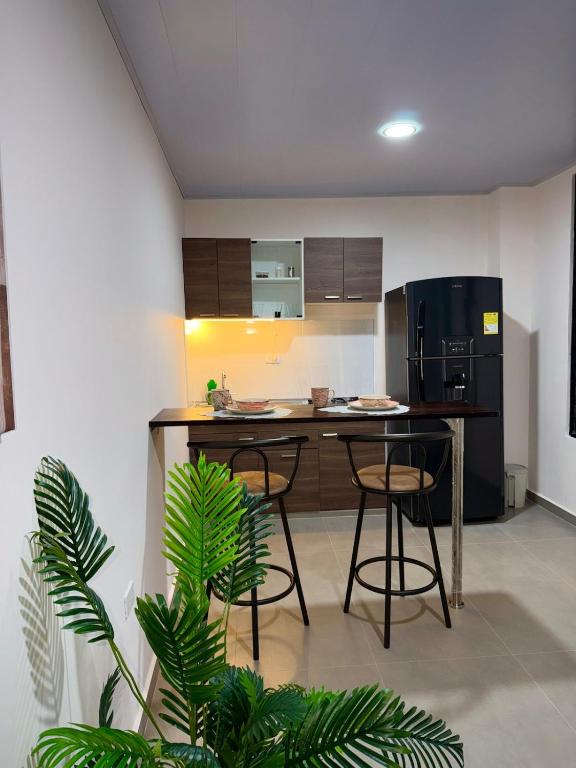 Amazonía Luxury Loft 203 - 2