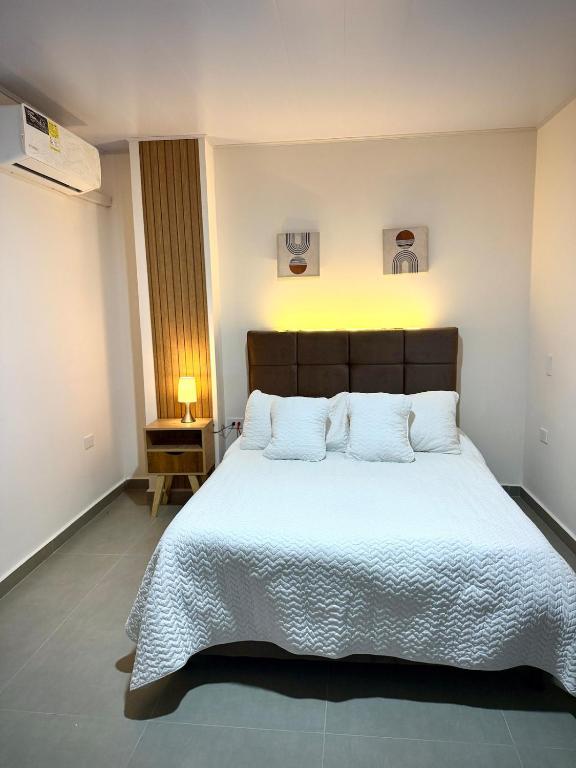 Amazonía Luxury Loft 203 - 5