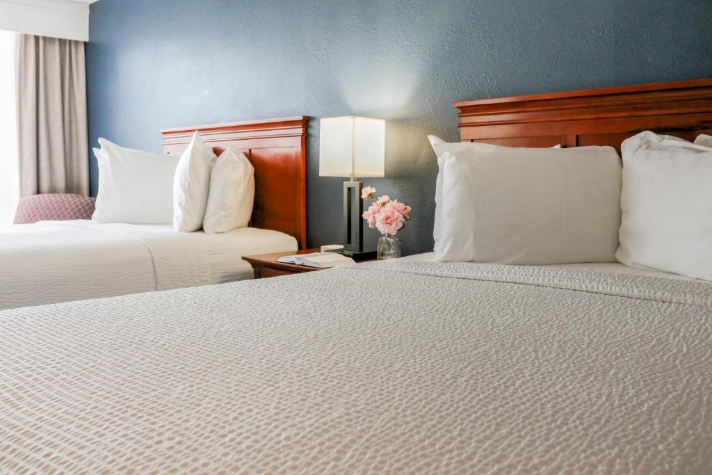 Comfortable mattresses