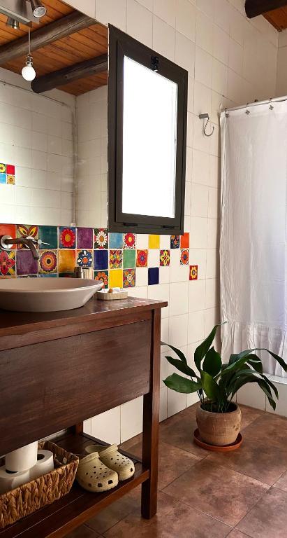 Terra Huarpe suite privada con pileta - 5