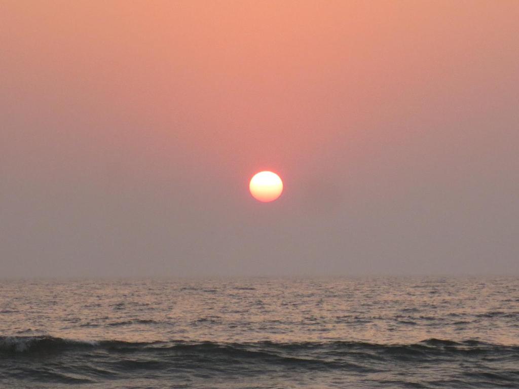 Sea Pearl Guesthouse photo