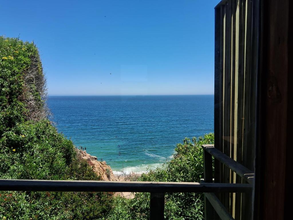 Maravillosa vista - 2