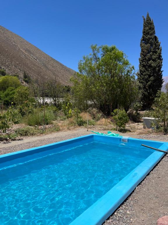 VALLE DEL ELQUI,Diaguitas, Vicuña - 5