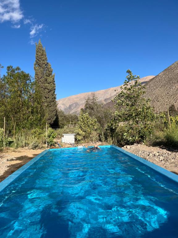 VALLE DEL ELQUI,Diaguitas, Vicuña - 4