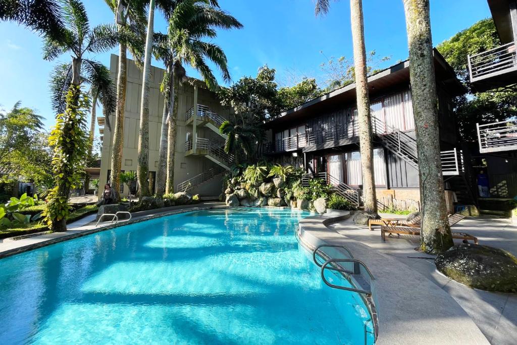 スイミングプール