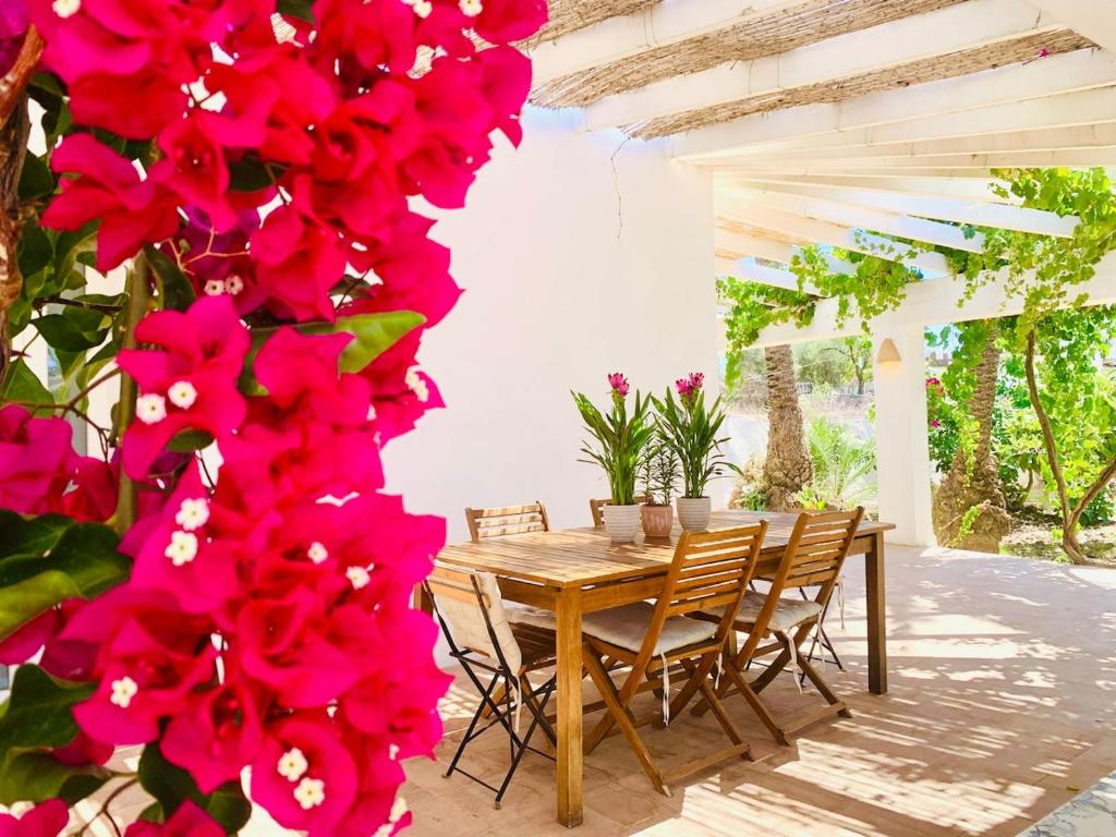 Casa Flor de la Vida By DelucaCo - 1
