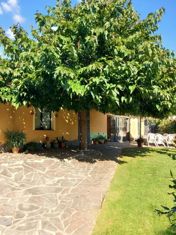 Lucca Country Escape - Private Pool & Garden - 3
