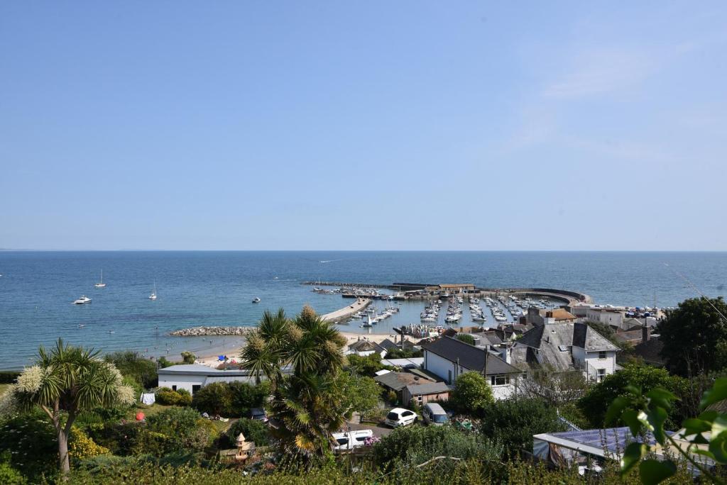 Half Moon Cottage, Lyme Regis photo 7