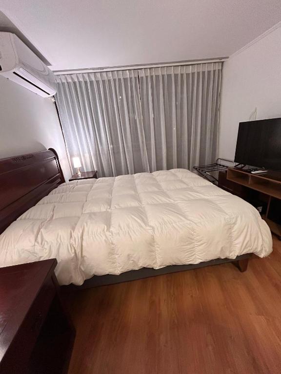 Hermoso apartamento amoblado a pasos del MUT - 2