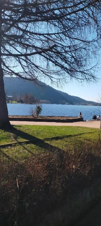 Gérardmer en famille ou entre amis - 3