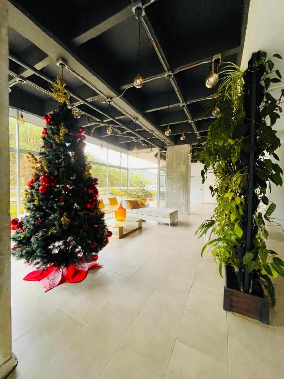 Espacio pet-friendly con terraza amplia y asador - 3