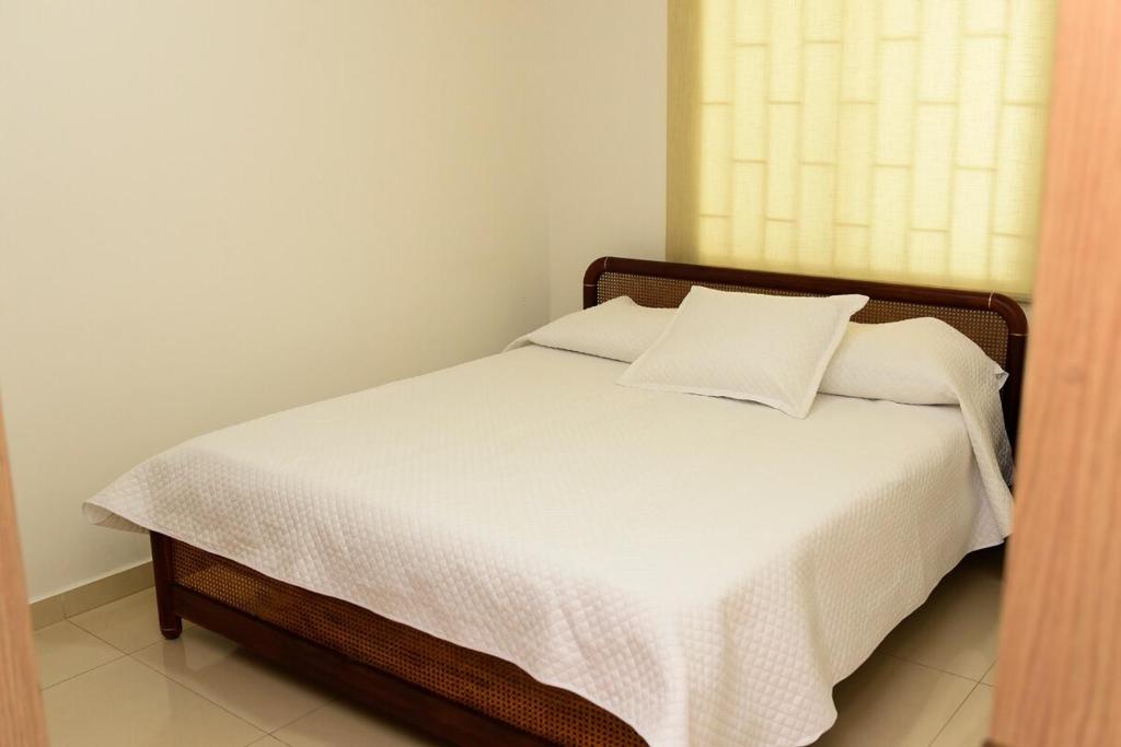 Newly Renovated & Modern Apt Near Top Attractions - 4