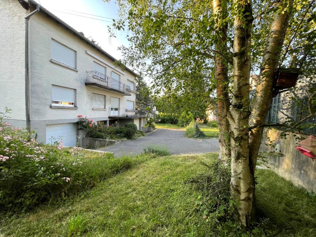 Grand appartement entouré de verdure - 2