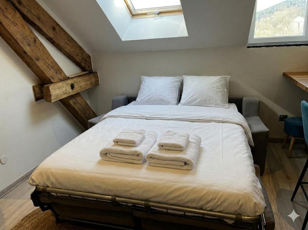 Hyper centre 6 pers 2 chambres 2 salle de bain - 5