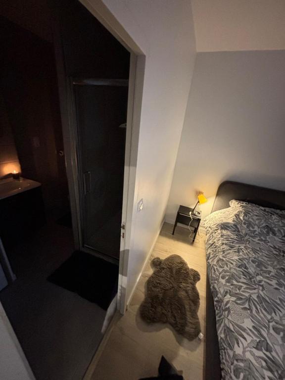Le repos des promeneurs - complete apartment - 4