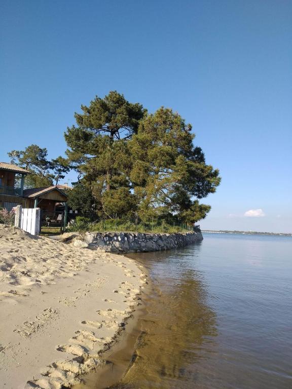 Villa Les Pieds dans L'Eau - 2
