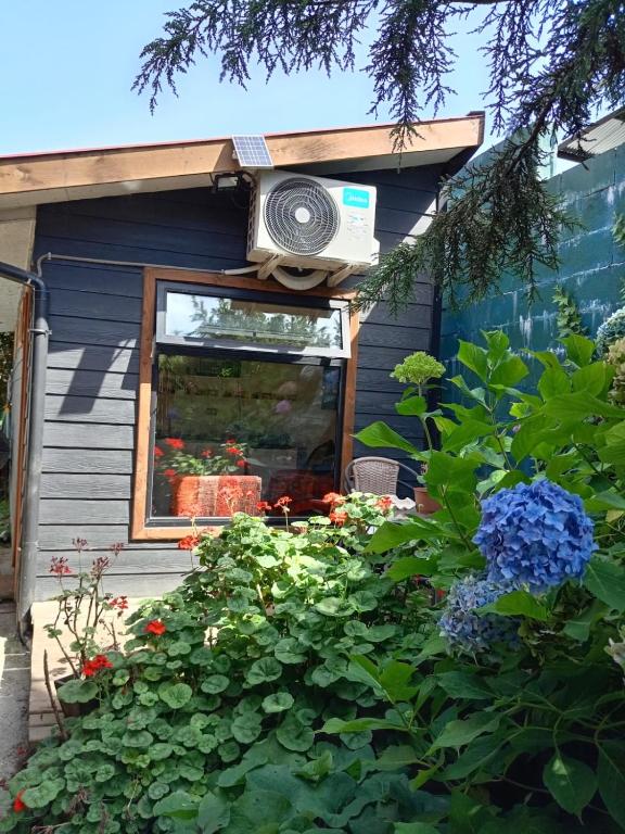 TINY HOUSE EL ROBLE - 2
