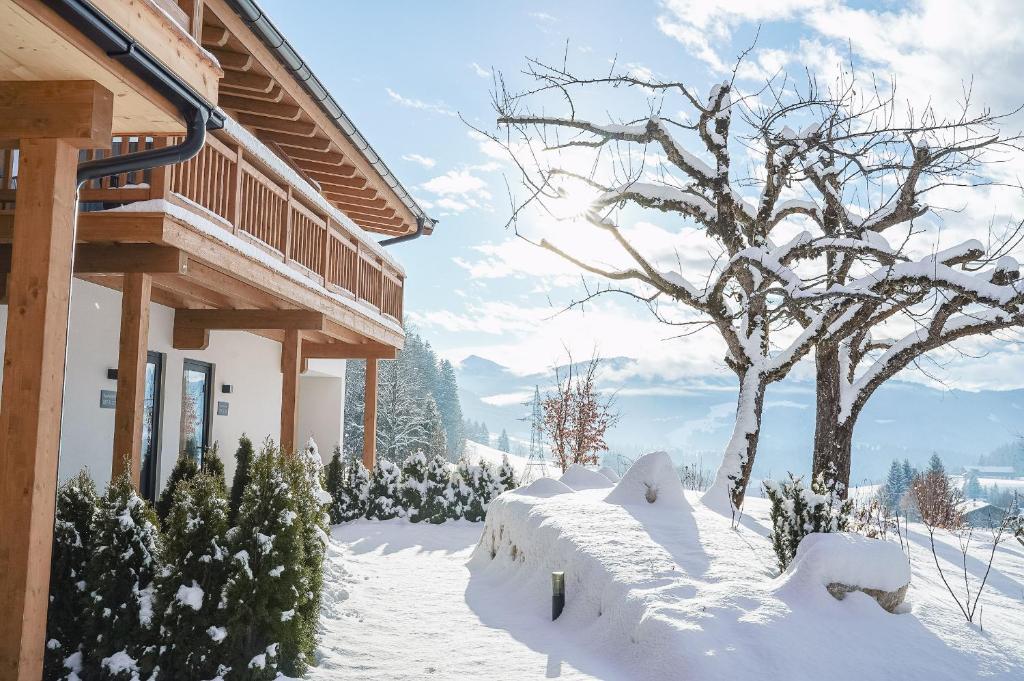 Denggenhof Apartments am Wilden Kaiser - 4