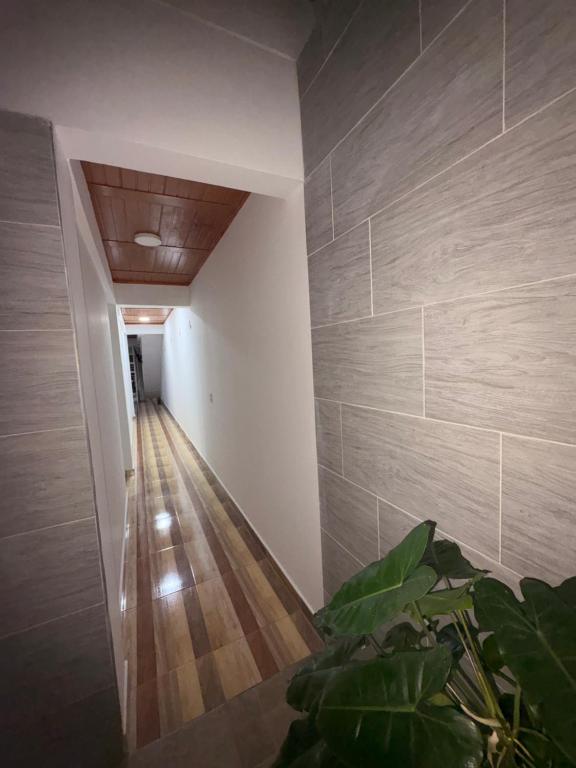 Penthouse - 3