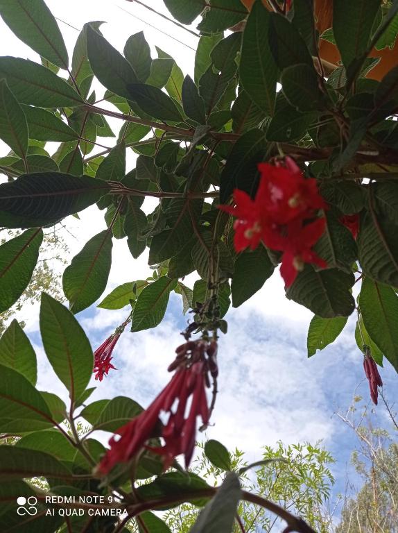 Spirit of the Montain lodge - 3