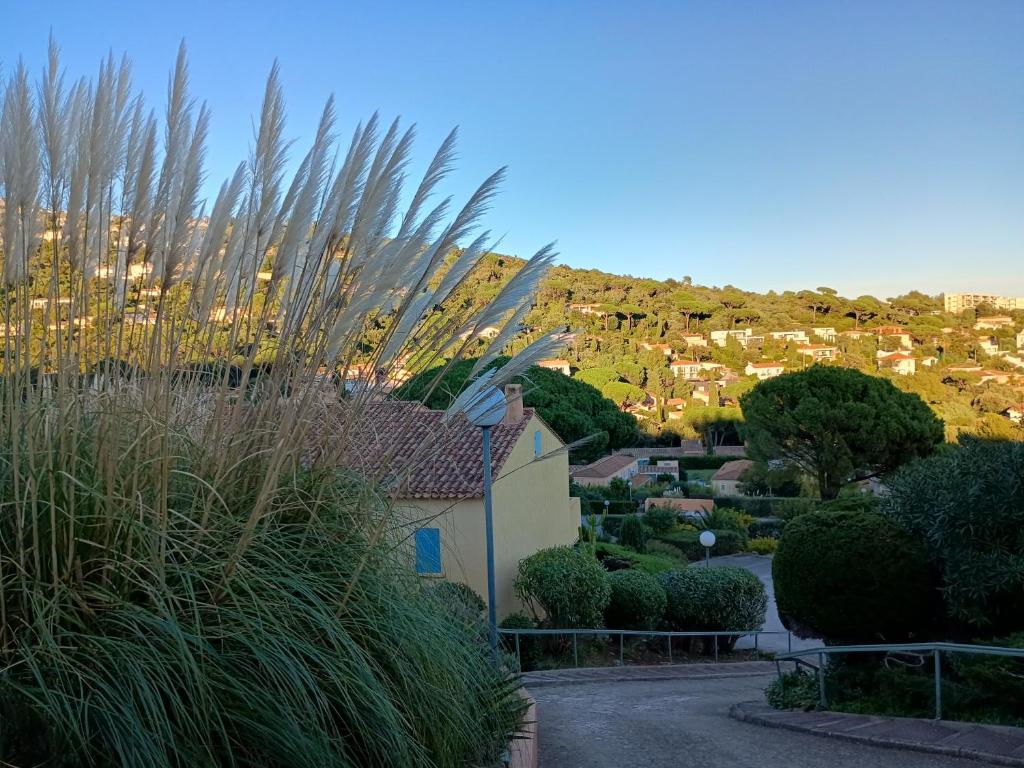 Appartement Provencal Meerblick Terrasse - 5