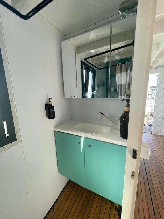 Houseboat BluSeaDream Dolphin 2 - 4