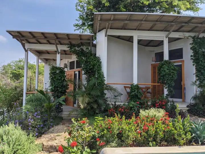 Poolside Cabaña Studio with stunning ocean view - 1