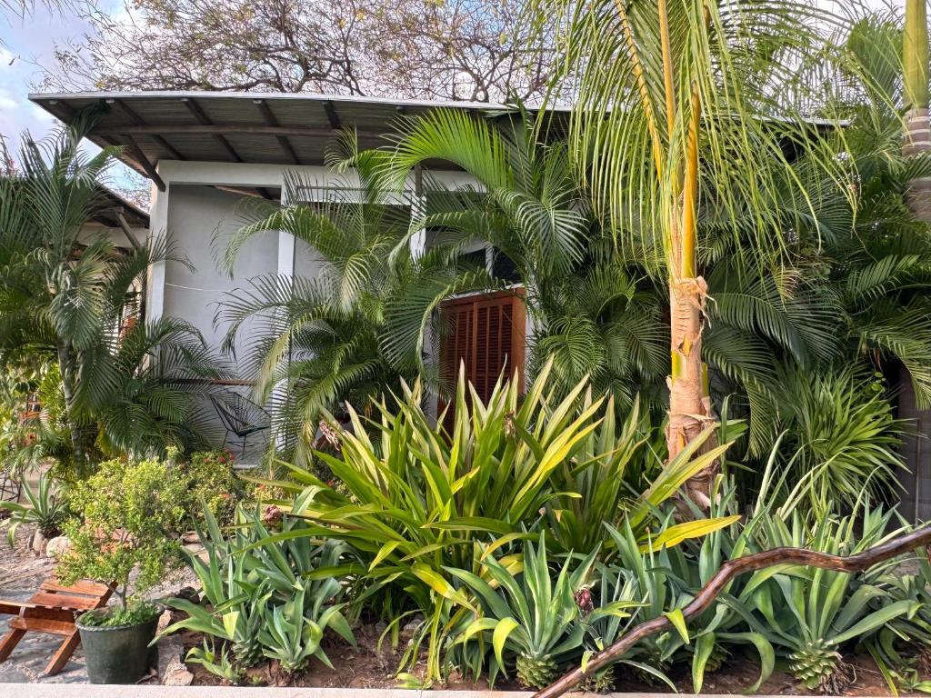 Poolside Cabaña Studio with stunning ocean view - 2