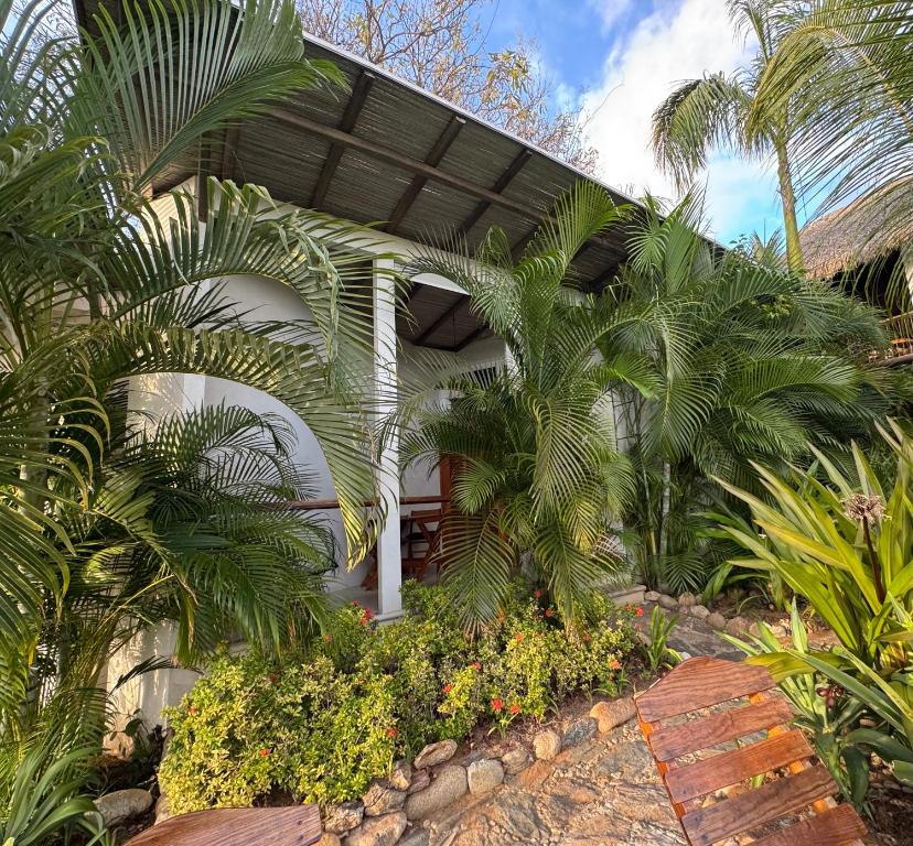Poolside Cabaña Studio with stunning ocean view - 3