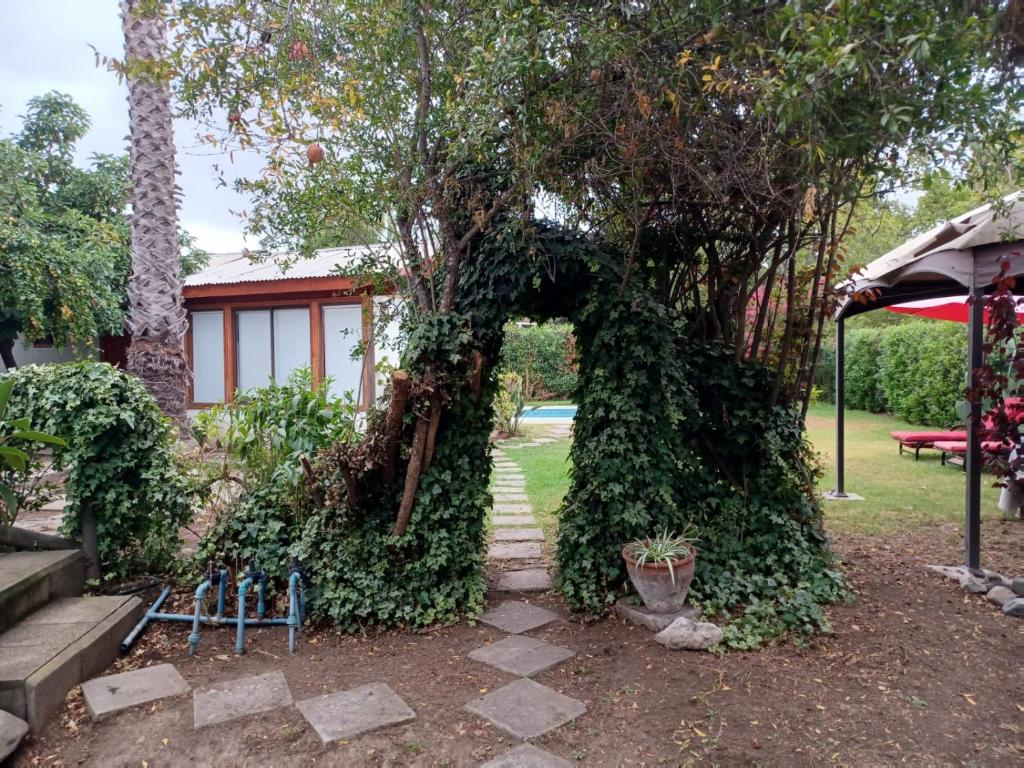 Cabaña acogedora en Olmué con piscina y parrilla - 1