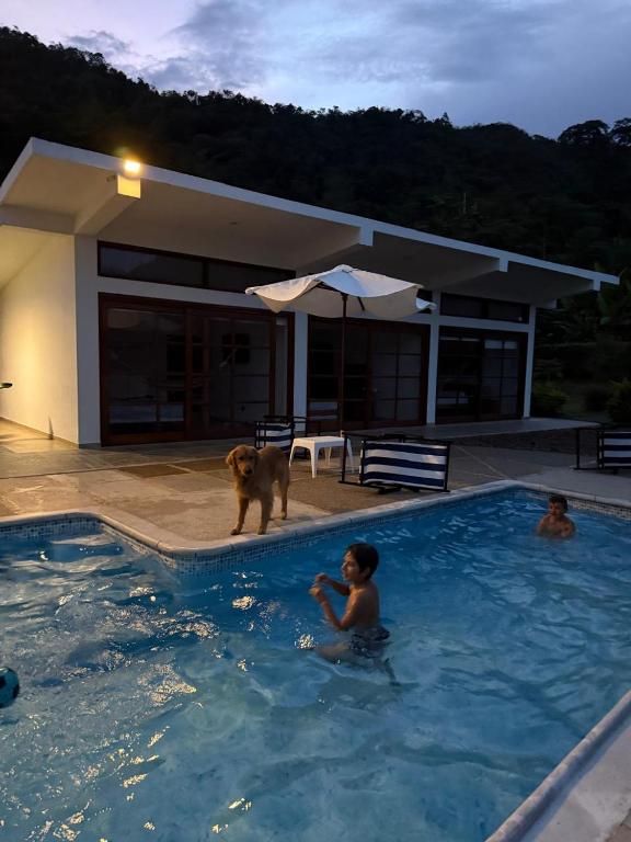 Natural Paradise overlooking the mountains - 1