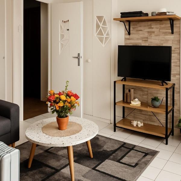 Jolie appartement au centre de Paris - 5