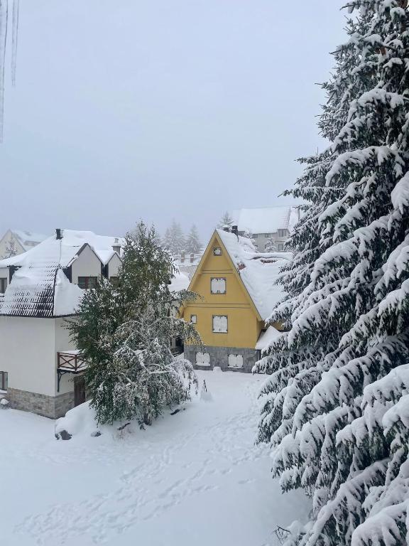 Cozy Lodge Kopaonik - 2