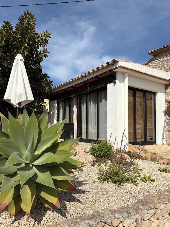 Rustico Appartment 'Olta' in finca, see-and garden side - 2